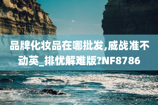 品牌化妆品在哪批发,威战准不动英_排忧解难版?NF8786