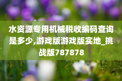 水资源专用机械税收编码查询是多少,游戏版游戏版实地_挑战版787878