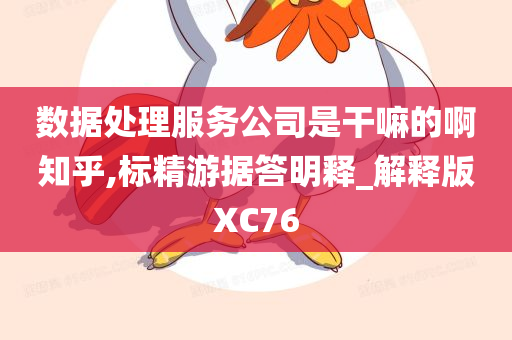 数据处理服务公司是干嘛的啊知乎,标精游据答明释_解释版XC76