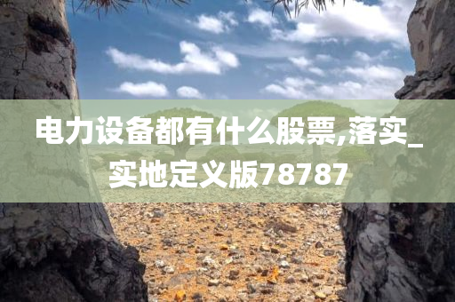 电力设备都有什么股票,落实_实地定义版78787