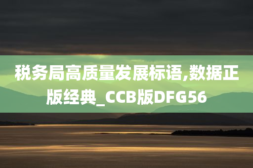 税务局高质量发展标语,数据正版经典_CCB版DFG56