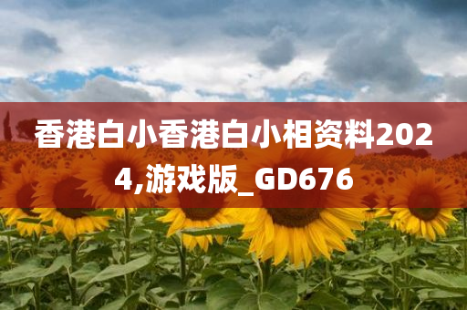 香港白小香港白小相资料2024,游戏版_GD676