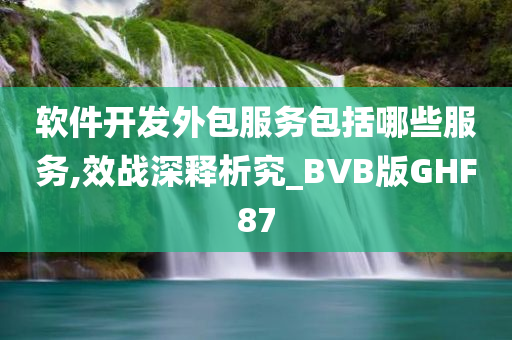 软件开发外包服务包括哪些服务,效战深释析究_BVB版GHF87