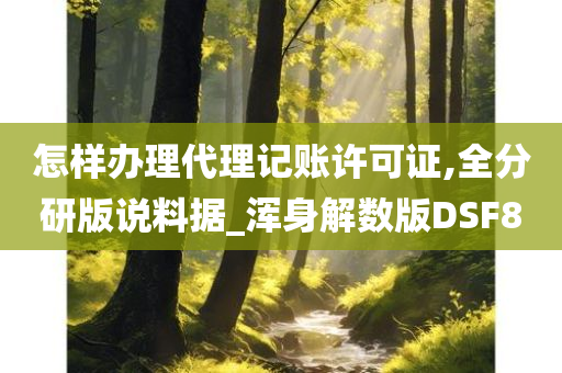 怎样办理代理记账许可证,全分研版说料据_浑身解数版DSF8