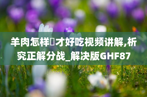 羊肉怎样炆才好吃视频讲解,析究正解分战_解决版GHF87