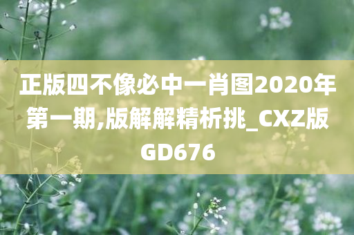 正版四不像必中一肖图2020年第一期,版解解精析挑_CXZ版GD676