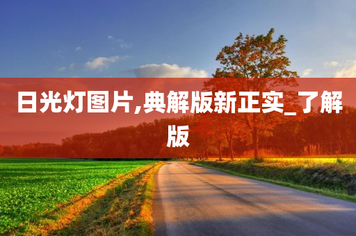 日光灯图片,典解版新正实_了解版