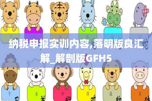 纳税申报实训内容,落明版良汇解_解剖版GFH5