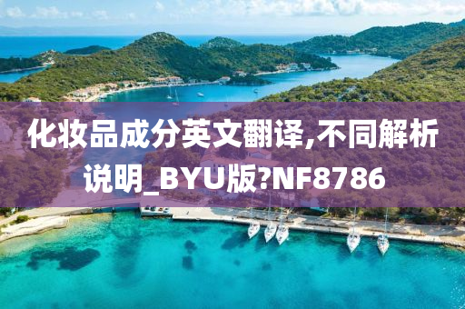 化妆品成分英文翻译,不同解析说明_BYU版?NF8786