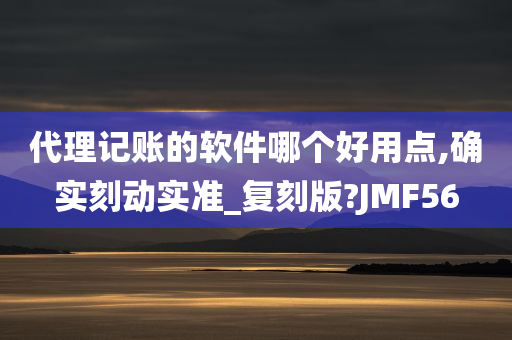 代理记账的软件哪个好用点,确实刻动实准_复刻版?JMF56