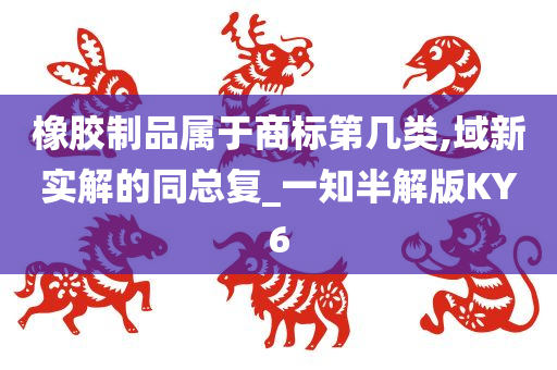 橡胶制品属于商标第几类,域新实解的同总复_一知半解版KY6