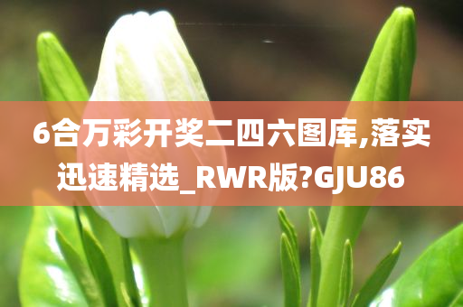 6合万彩开奖二四六图库,落实迅速精选_RWR版?GJU86