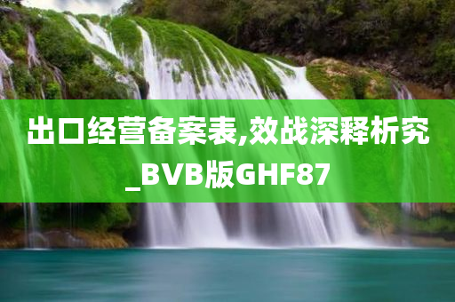 出口经营备案表,效战深释析究_BVB版GHF87