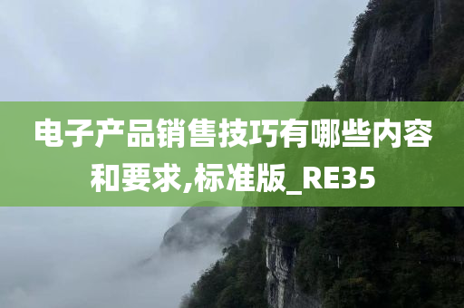 电子产品销售技巧有哪些内容和要求,标准版_RE35