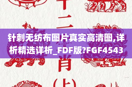 针刺无纺布图片真实高清图,详析精选详析_FDF版?FGF4543