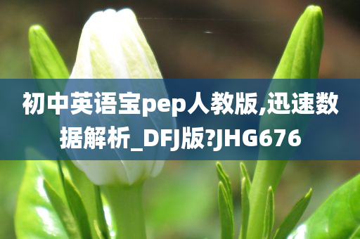 初中英语宝pep人教版,迅速数据解析_DFJ版?JHG676