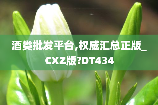 酒类批发平台,权威汇总正版_CXZ版?DT434