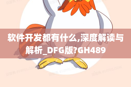 软件开发都有什么,深度解读与解析_DFG版?GH489