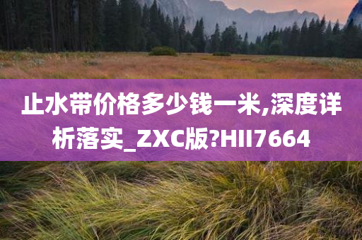 止水带价格多少钱一米,深度详析落实_ZXC版?HII7664