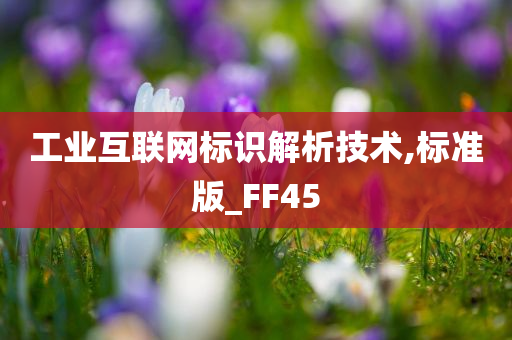 工业互联网标识解析技术,标准版_FF45