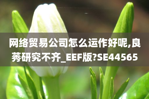 网络贸易公司怎么运作好呢,良莠研究不齐_EEF版?SE44565