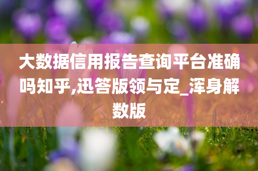 大数据信用报告查询平台准确吗知乎,迅答版领与定_浑身解数版