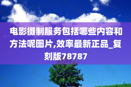 电影摄制服务包括哪些内容和方法呢图片,效率最新正品_复刻版78787