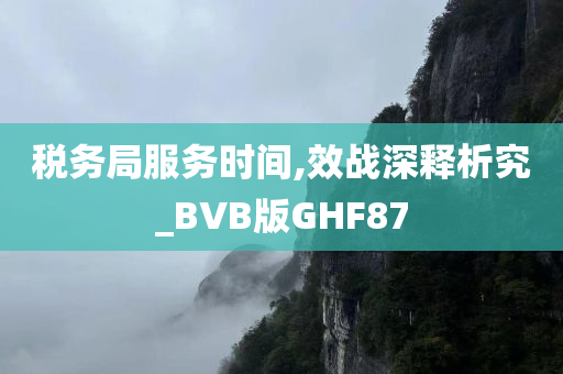 税务局服务时间,效战深释析究_BVB版GHF87