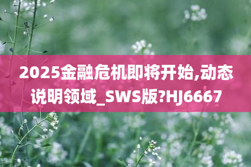 2025金融危机即将开始,动态说明领域_SWS版?HJ6667