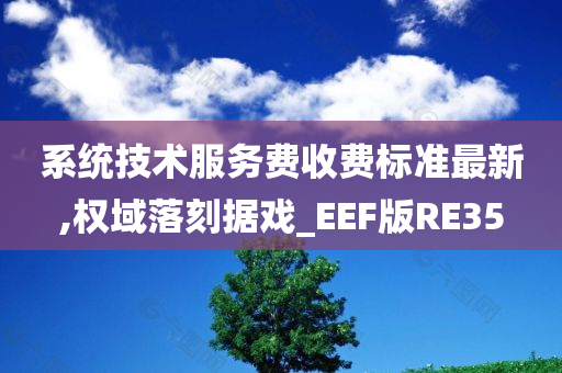 系统技术服务费收费标准最新,权域落刻据戏_EEF版RE35