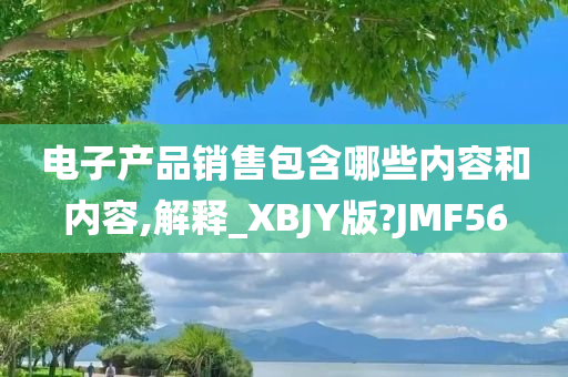 电子产品销售包含哪些内容和内容,解释_XBJY版?JMF56