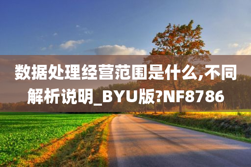 数据处理经营范围是什么,不同解析说明_BYU版?NF8786