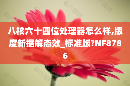 八核六十四位处理器怎么样,版度新据解态效_标准版?NF8786