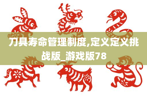 刀具寿命管理制度,定义定义挑战版_游戏版78