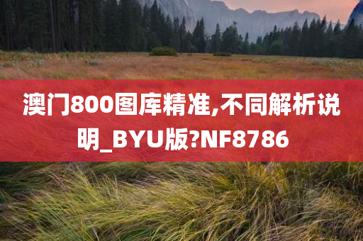 澳门800图库精准,不同解析说明_BYU版?NF8786