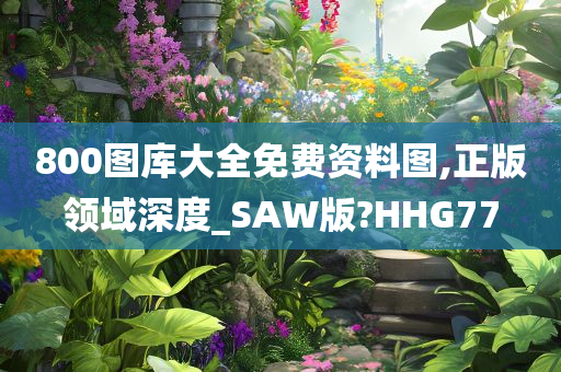 800图库大全免费资料图,正版领域深度_SAW版?HHG77