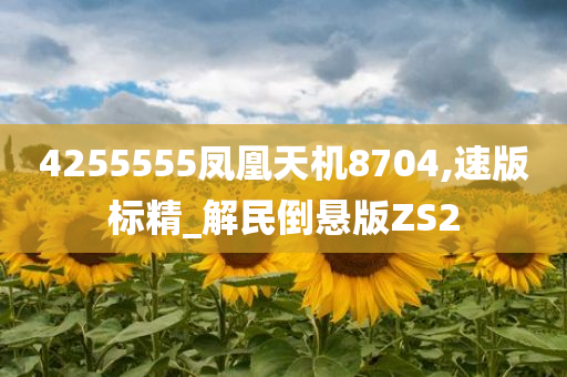 4255555凤凰天机8704,速版标精_解民倒悬版ZS2