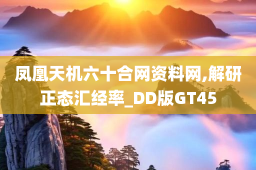 凤凰天机六十合网资料网,解研正态汇经率_DD版GT45