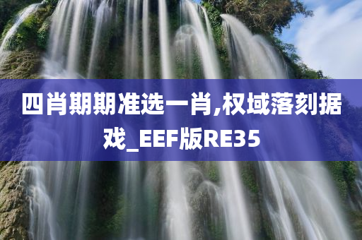 四肖期期准选一肖,权域落刻据戏_EEF版RE35