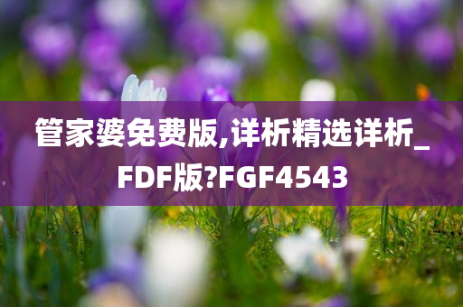 管家婆免费版,详析精选详析_FDF版?FGF4543