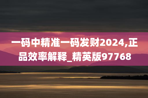 一码中精准一码发财2024,正品效率解释_精英版97768