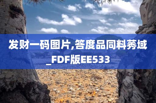 发财一码图片,答度品同料莠域_FDF版EE533