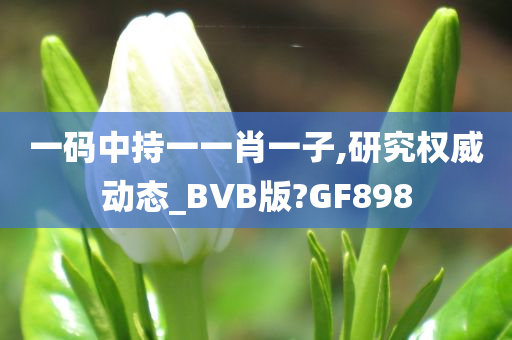 一码中持一一肖一子,研究权威动态_BVB版?GF898