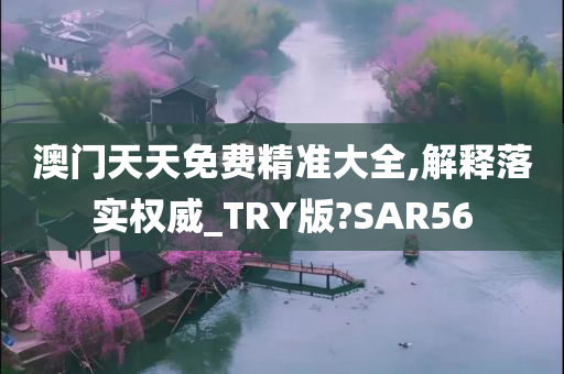 澳门天天免费精准大全,解释落实权威_TRY版?SAR56