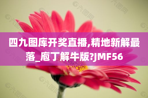 四九图库开奖直播,精地新解最落_庖丁解牛版?JMF56