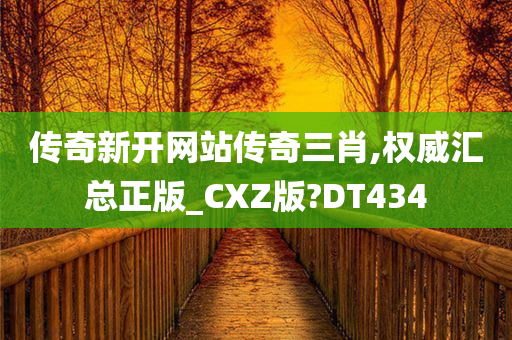 传奇新开网站传奇三肖,权威汇总正版_CXZ版?DT434