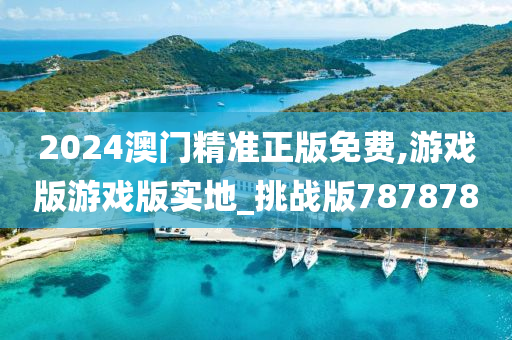 2024澳门精准正版免费,游戏版游戏版实地_挑战版787878