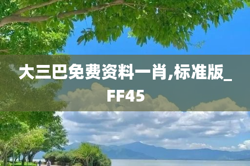 大三巴免费资料一肖,标准版_FF45