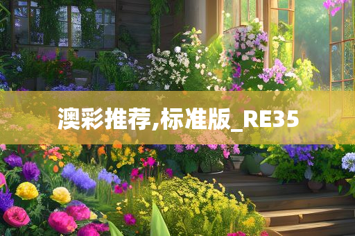 澳彩推荐,标准版_RE35