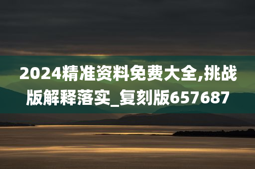 2024精准资料免费大全,挑战版解释落实_复刻版657687